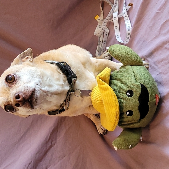 Dog Toy: Big Squeeze Cactus with Mini Cactus toy inside - Picture 5 of 7